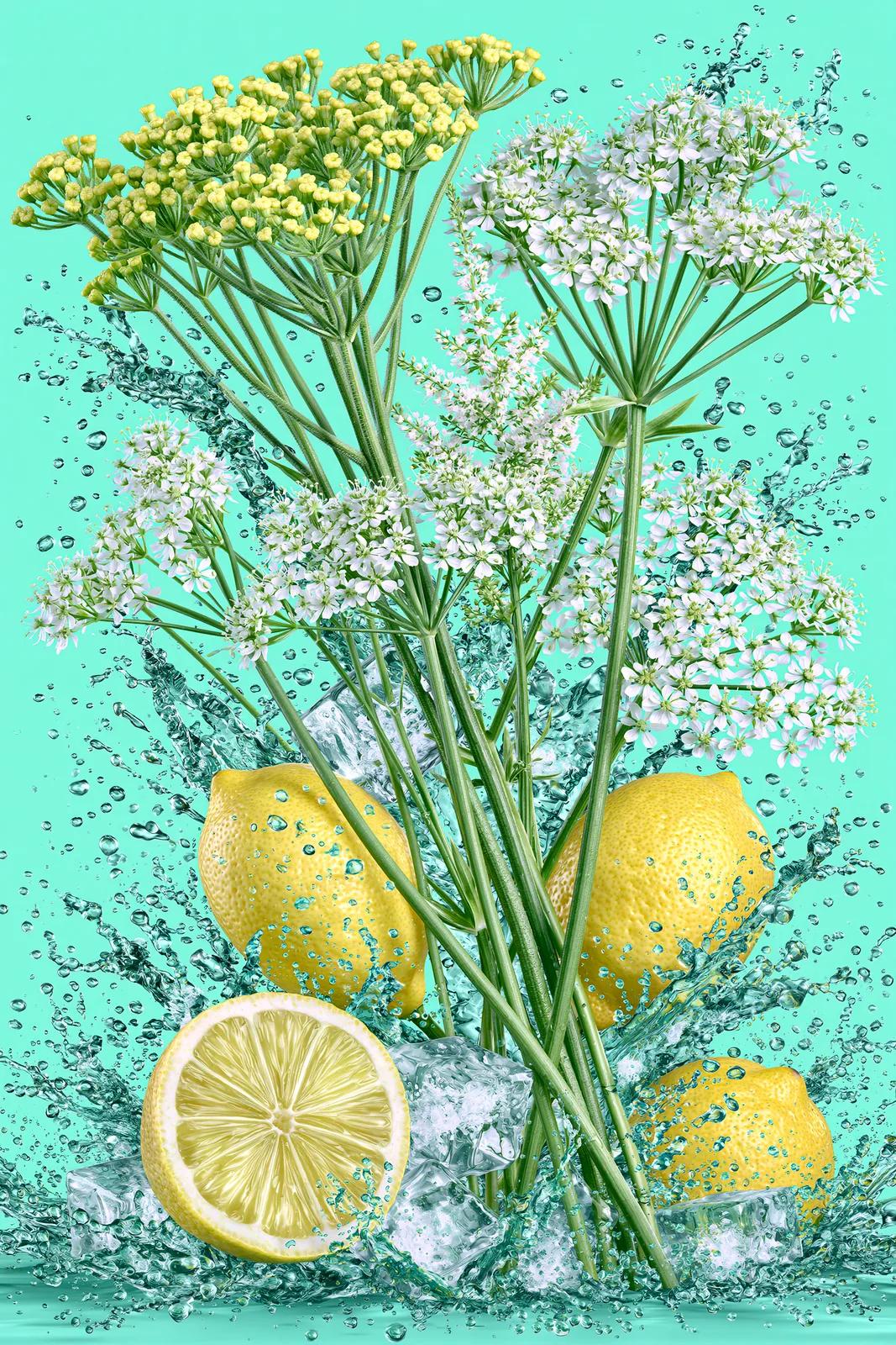 Three whole lemons and one halved lemon splashing into turquoise water with ice cubes and sprigs of yellow and white flowers.